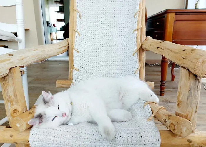 D'hotes - Huisnes-sur-Mer